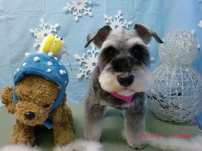 ファイル 6503-2.jpg