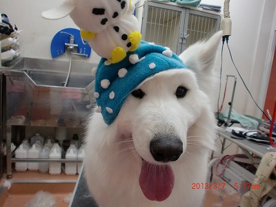 ファイル 6504-1.jpg