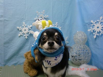 ファイル 6505-1.jpg