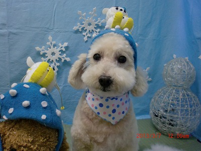 ファイル 6506-1.jpg