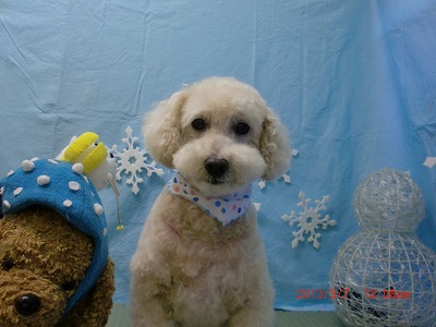 ファイル 6506-2.jpg