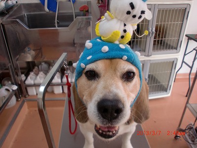 ファイル 6507-1.jpg