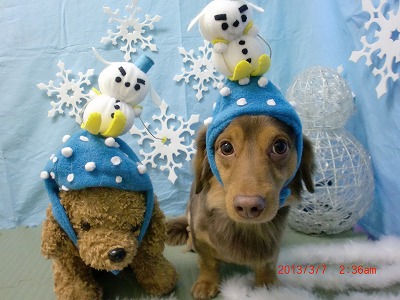 ファイル 6508-1.jpg