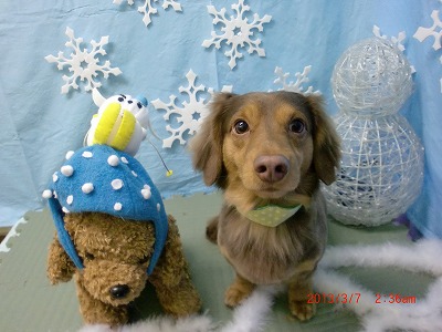 ファイル 6508-2.jpg