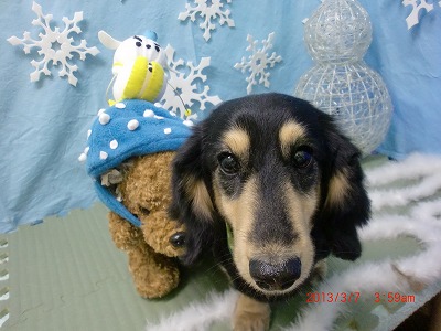 ファイル 6509-2.jpg