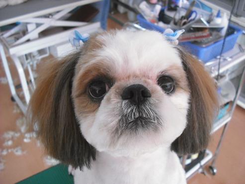 ファイル 651-1.jpg