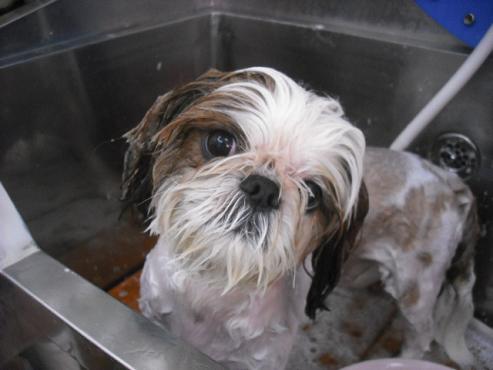 ファイル 651-2.jpg