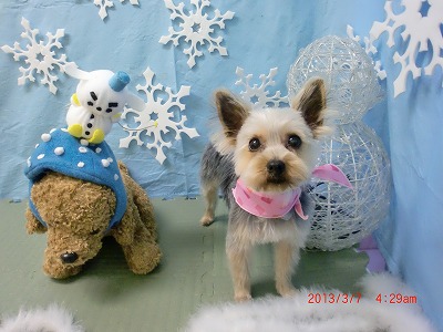 ファイル 6510-2.jpg