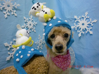 ファイル 6511-1.jpg