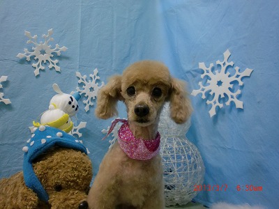 ファイル 6511-2.jpg