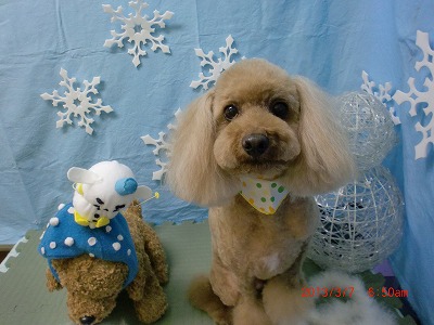 ファイル 6512-1.jpg