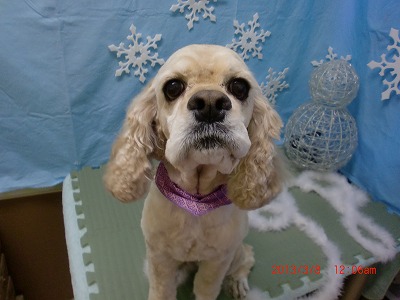 ファイル 6513-2.jpg