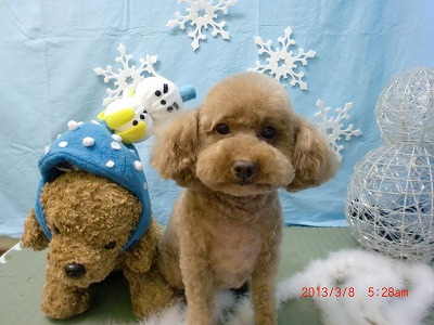 ファイル 6514-2.jpg