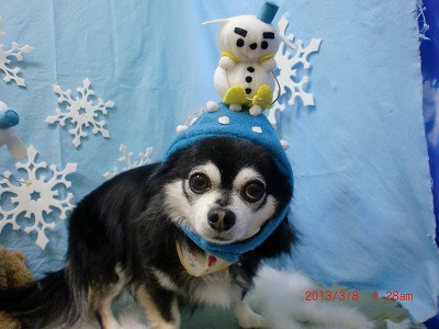 ファイル 6515-1.jpg