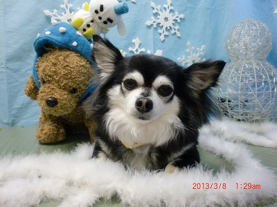 ファイル 6515-2.jpg