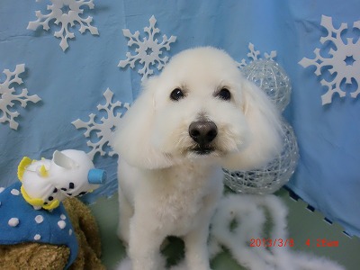 ファイル 6516-1.jpg