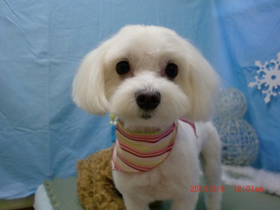 ファイル 6517-2.jpg