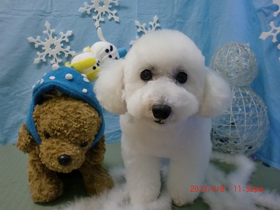 ファイル 6518-2.jpg