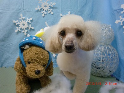 ファイル 6519-2.jpg