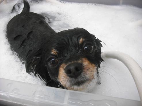 ファイル 652-2.jpg