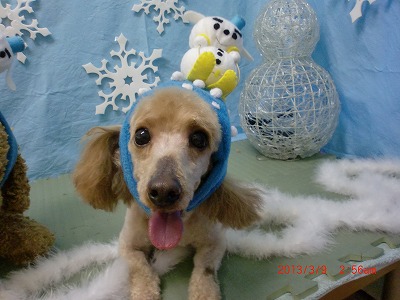 ファイル 6520-1.jpg