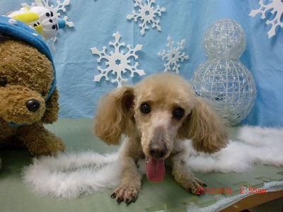 ファイル 6520-2.jpg