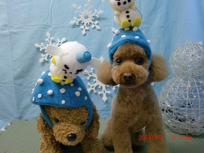 ファイル 6521-1.jpg