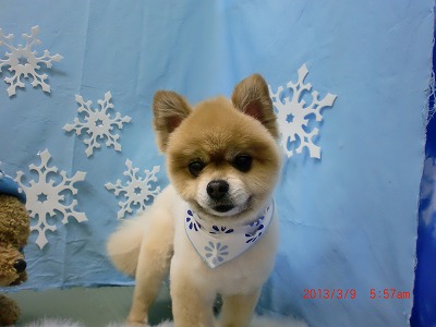 ファイル 6523-2.jpg