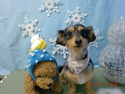 ファイル 6526-2.jpg