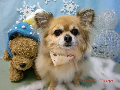 ファイル 6528-1.jpg