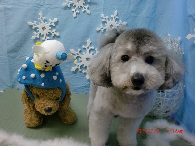 ファイル 6529-1.jpg