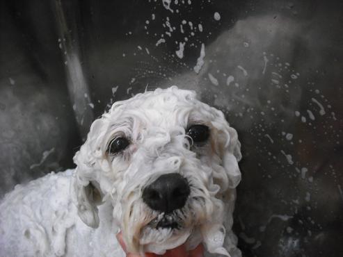 ファイル 653-2.jpg