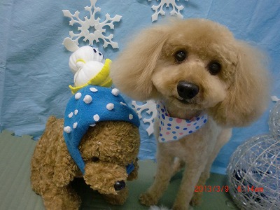 ファイル 6530-1.jpg