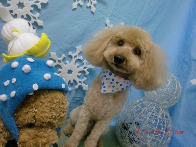 ファイル 6530-2.jpg