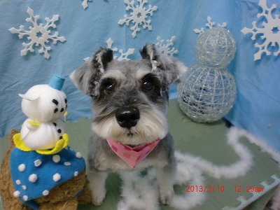 ファイル 6531-2.jpg