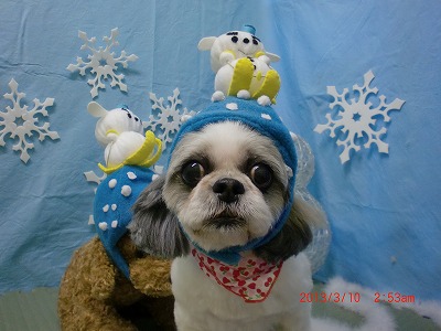 ファイル 6532-1.jpg