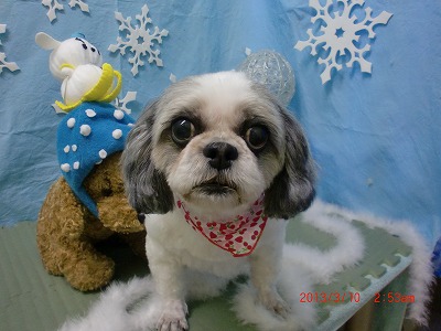 ファイル 6532-2.jpg