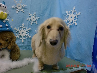 ファイル 6533-2.jpg