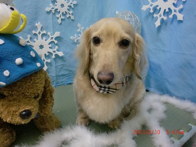 ファイル 6534-2.jpg