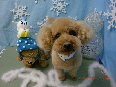 ファイル 6536-2.jpg