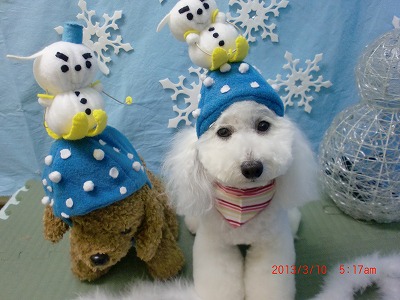 ファイル 6537-1.jpg