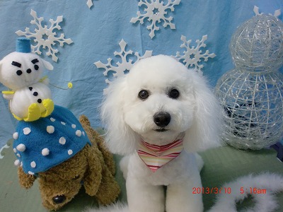 ファイル 6537-2.jpg