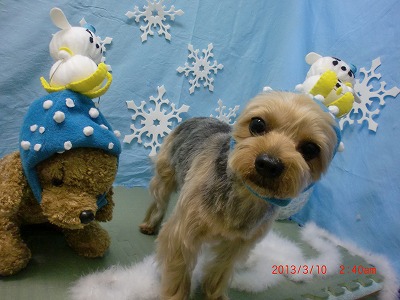 ファイル 6539-1.jpg