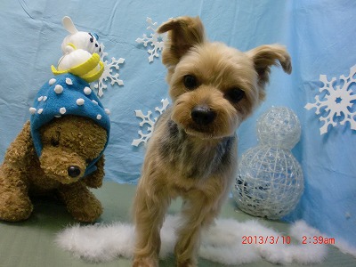 ファイル 6539-2.jpg