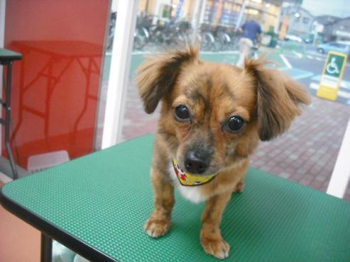 ファイル 654-1.jpg