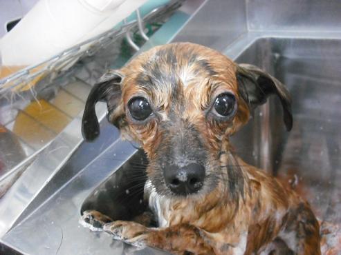 ファイル 654-2.jpg