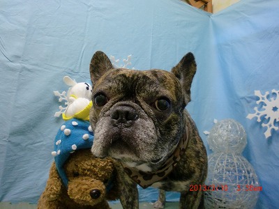 ファイル 6540-2.jpg