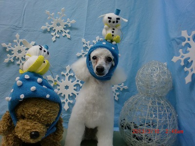 ファイル 6542-1.jpg