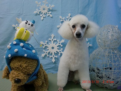 ファイル 6542-2.jpg