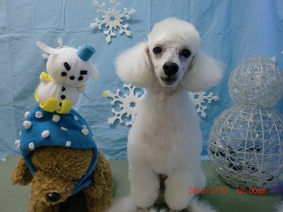 ファイル 6543-2.jpg